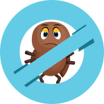 Simple Hair Lice Treatment For Long Hair